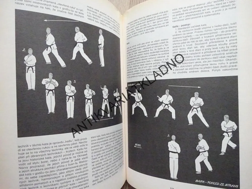 KARATE KATA, FRANTIŠEK ŠEBEJ, **an