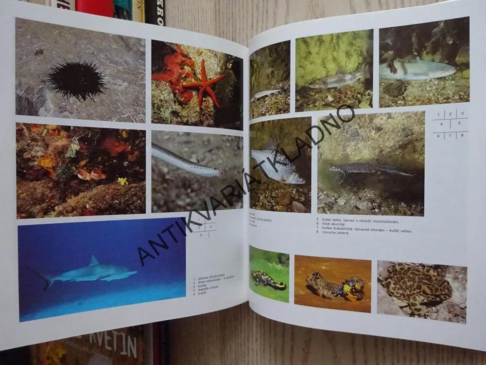 ZOOLOGIE, MIROSLAV PAPÁČEK, **an