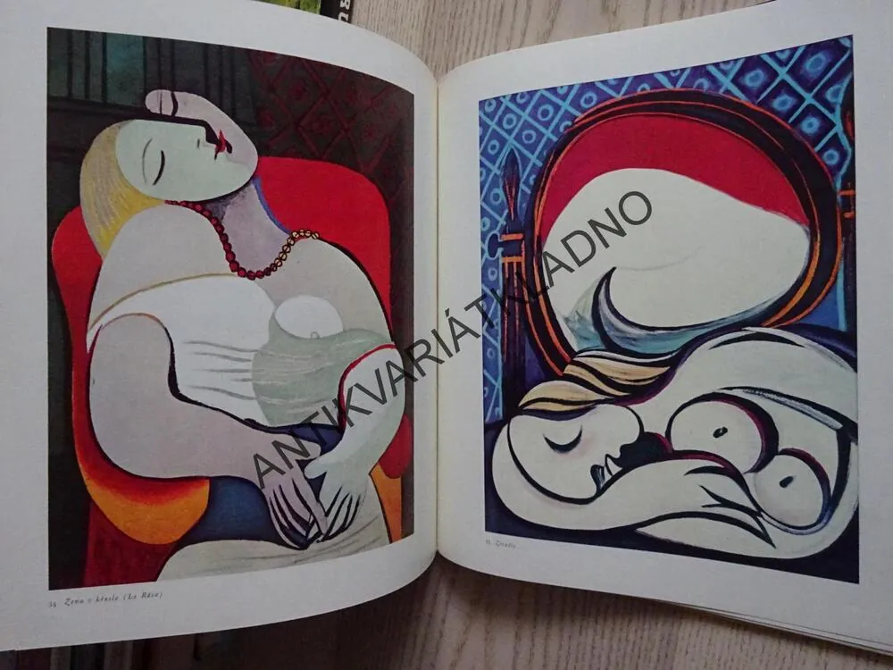 PICASSO, **an