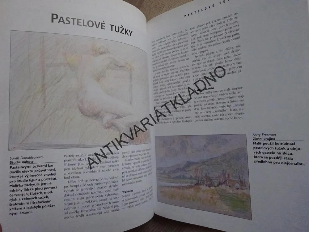 VELKÝ KURZ KRESLENÍ A MALOVÁNÍ, **an