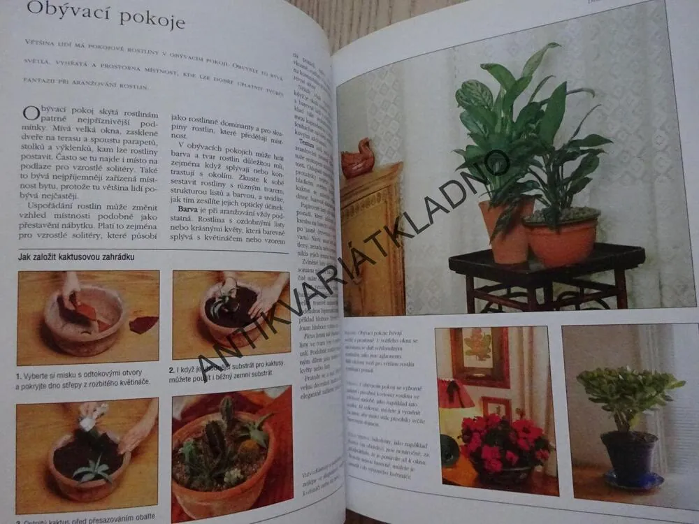 VŠE O POKOJOVÝCH ROSTLINÁCH, PETER MCHOY, **an