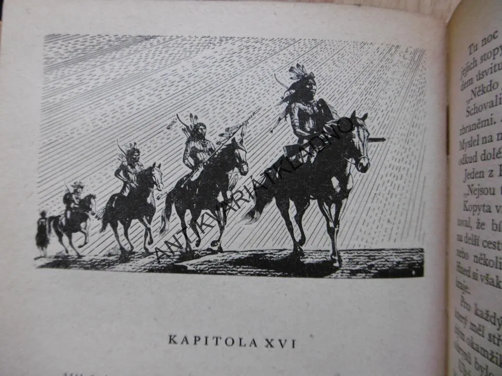 KOD 109 - DIVOKÝ ANDA, NORA SZCZEPANSKÁ, VRAŠTIL, 1983,**an