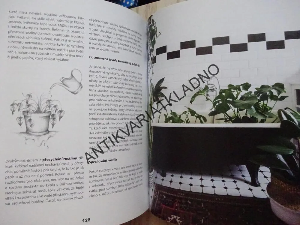 KVÍTKA V BYTĚ, VERONIKA JEŽKOVÁ, NIKOL FRANCOVÁ, **an