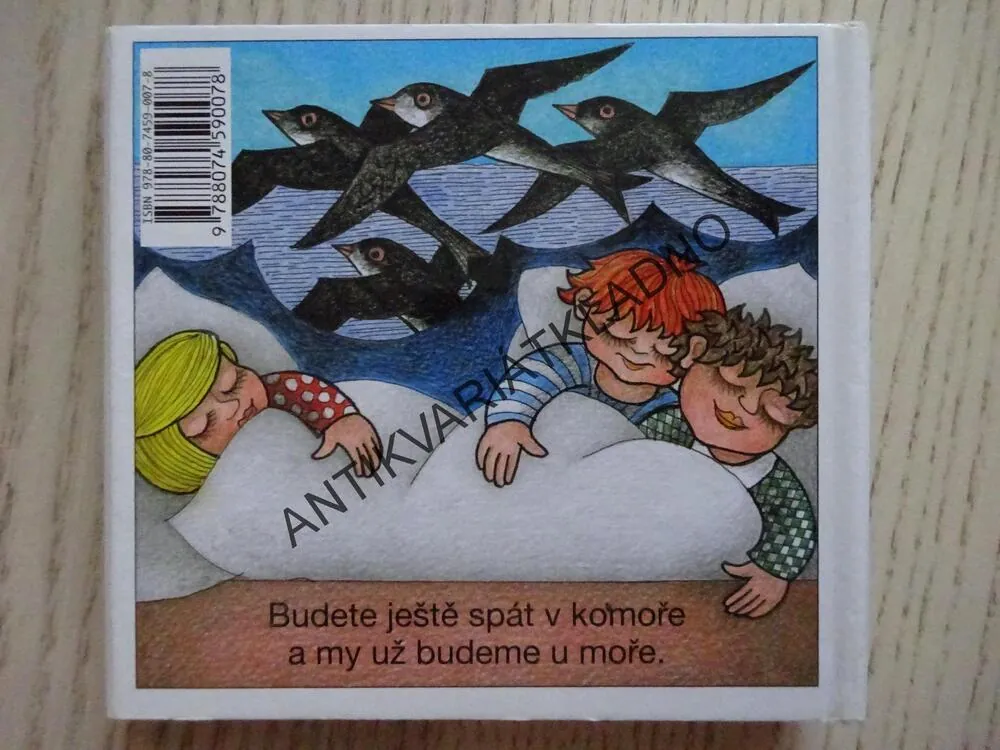 HOUPY, HOUPY, HOUPY, JANA SEMELKOVÁ, EVA BARTÁKOVÁ, **an