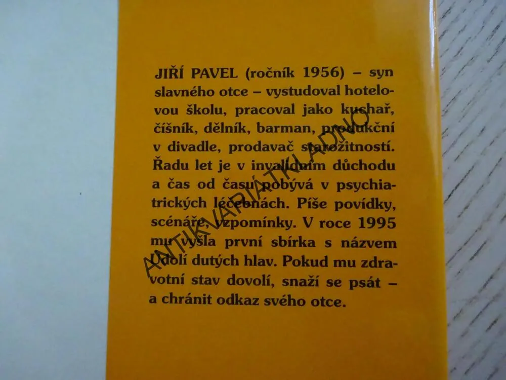 BLÁZINEC I V MÉ HLAVĚ, JIŘÍ PAVEL, **an