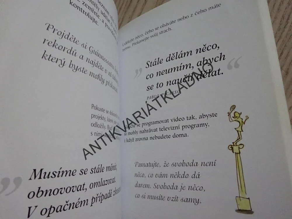 JE MI... 40, A CO MÁ BÝT?, REBECCA HALLOVÁ, **an