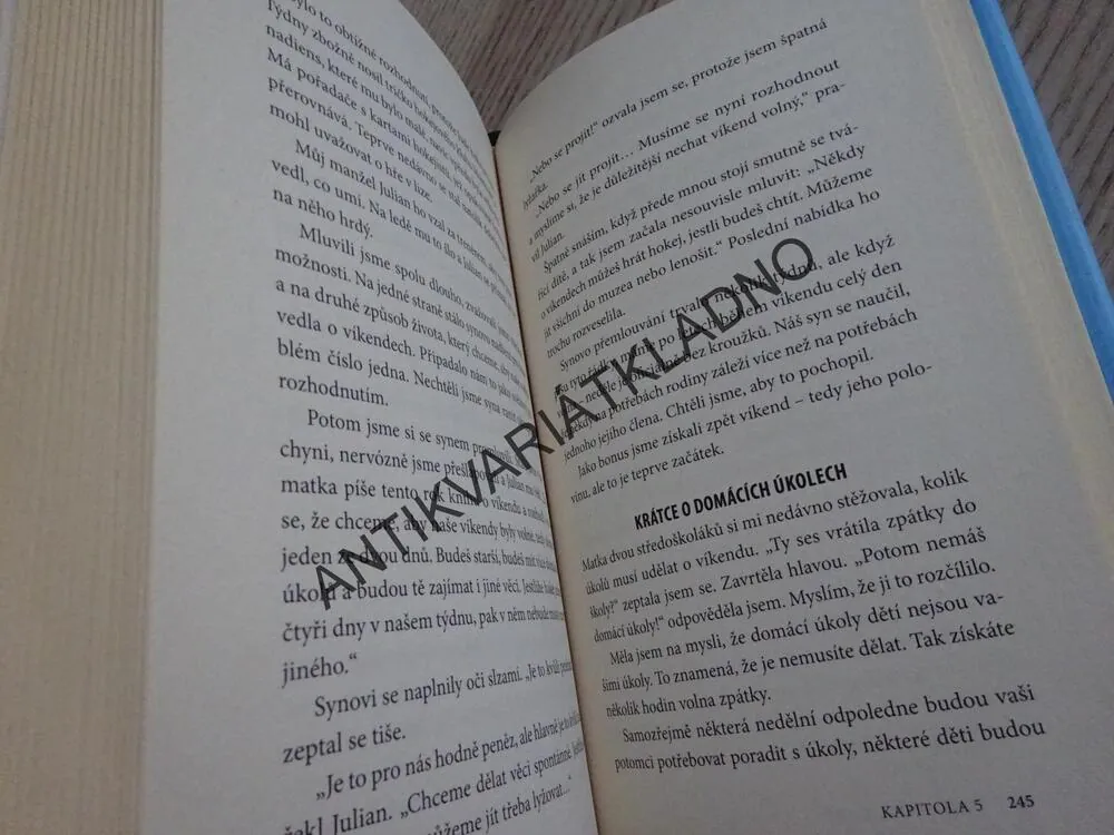 VÍKENDOVÝ EFEKT, KATRINA ONSTAD, **an