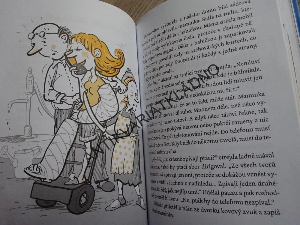 PRÁZDNINY BLBCE ČÍSLO 13, MILOŠ KRATOCHVÍL, **an