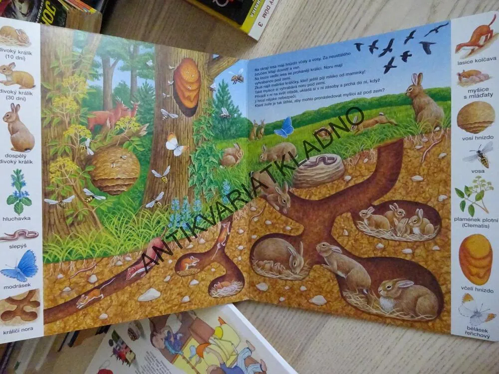MOJE PRVNÍ OBRÁZKOVÁ KNÍŽKA, JAK BYDLÍ ZVÍŘÁTKA, **an