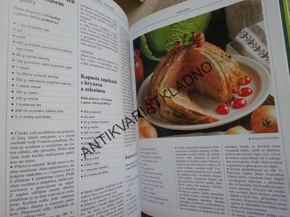 CHUTNÁ JÍDLA ZE ZELENINY, MARI LAJOSOVÁ, KÁROLY HEMZÖ, **an