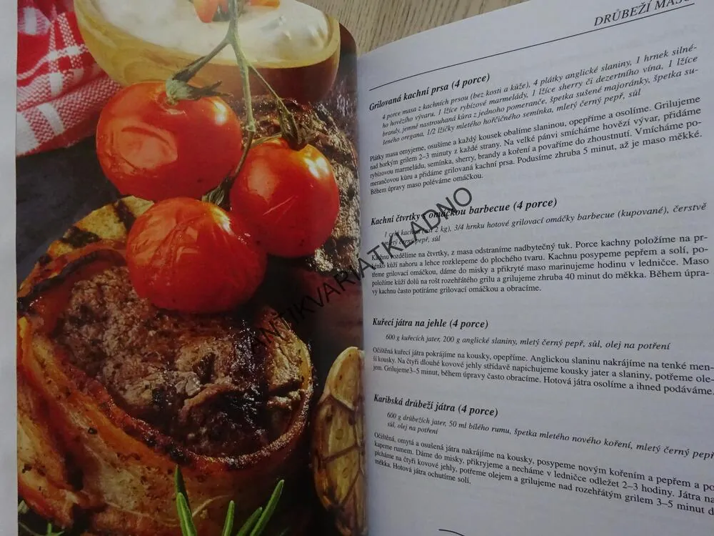 VELKÁ KNIHA GRILOVÁNÍ, **an