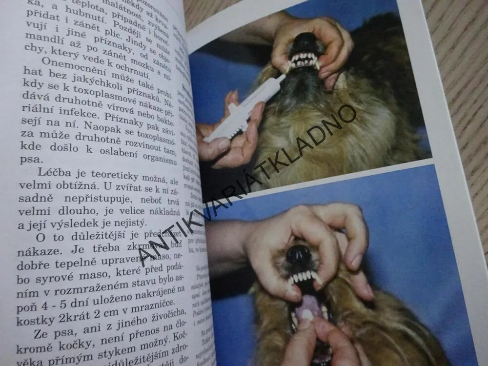 NEMÁ VÁŠ PES CIZOPASNÍKY?, IVAN STUCHLÝ, **an