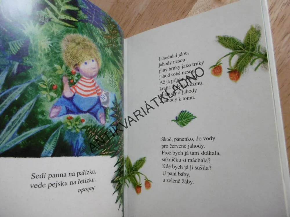 LETNÍ ŘÍKADLA, JIŘÍ TRNKA, 