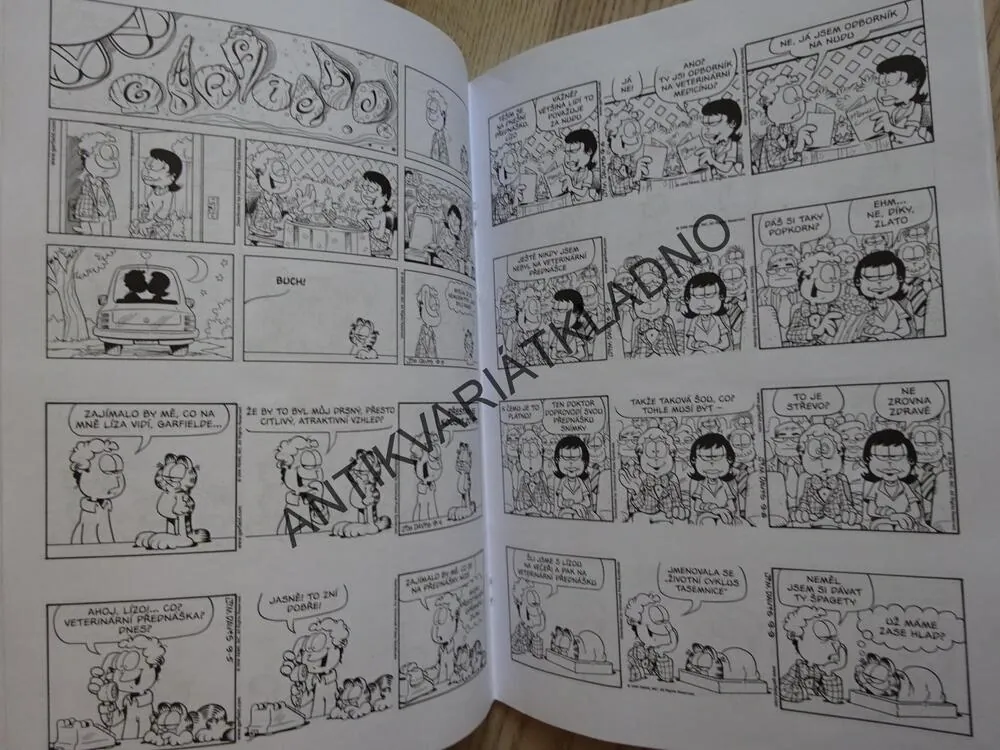 GARFIELD ZVAŽUJE MOŽNOSTI, JIM DAVIS, **an