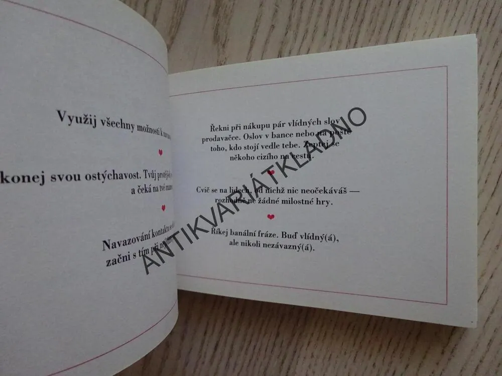 MALÝ NÁVOD K FLIRTOVÁNÍ, **an