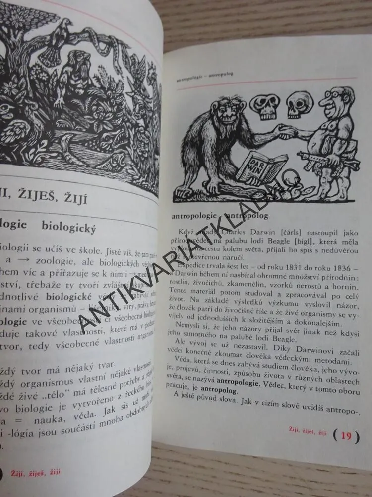 SLOVA ODJINUD, KVETA DAŠKOVÁ, **an