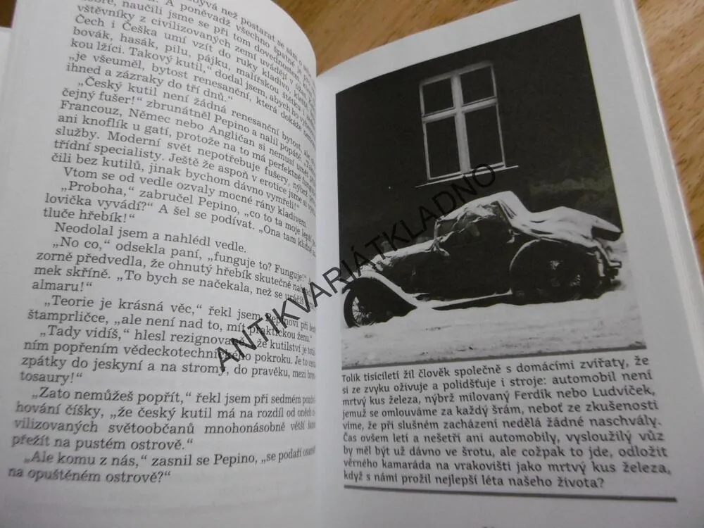 JAK JSEM POTKAL MOŘSKOU PANNU, JIŘÍ ŽÁČEK