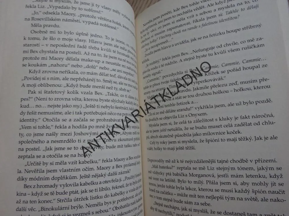 V TAJNÝCH SLUŽBÁCH, ALLY CARTEROVÁ, **an