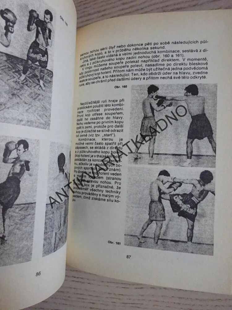 THAJSKÝ BOX, ZORAN REBAC, **an