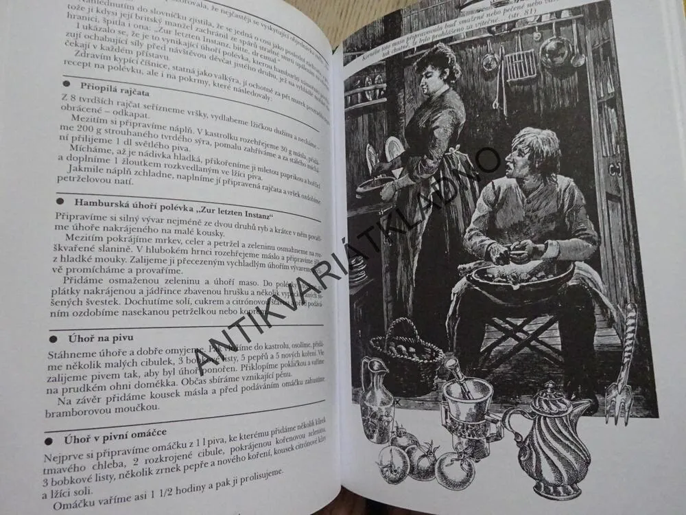 CESTA KOLEM SVĚTA V DVAKRÁT 80 RECEPTECH, JULES VERNY, **an