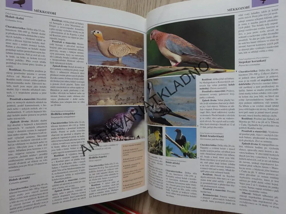PTÁCI, ZOOLOGICKÁ ENCYKLOPEDIE, **an