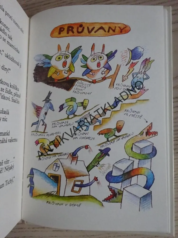 ZLATÁ PRASÁTKA Z MÁMINA ZRCÁTKA, VALERIJ MEDVĚDĚV, **an