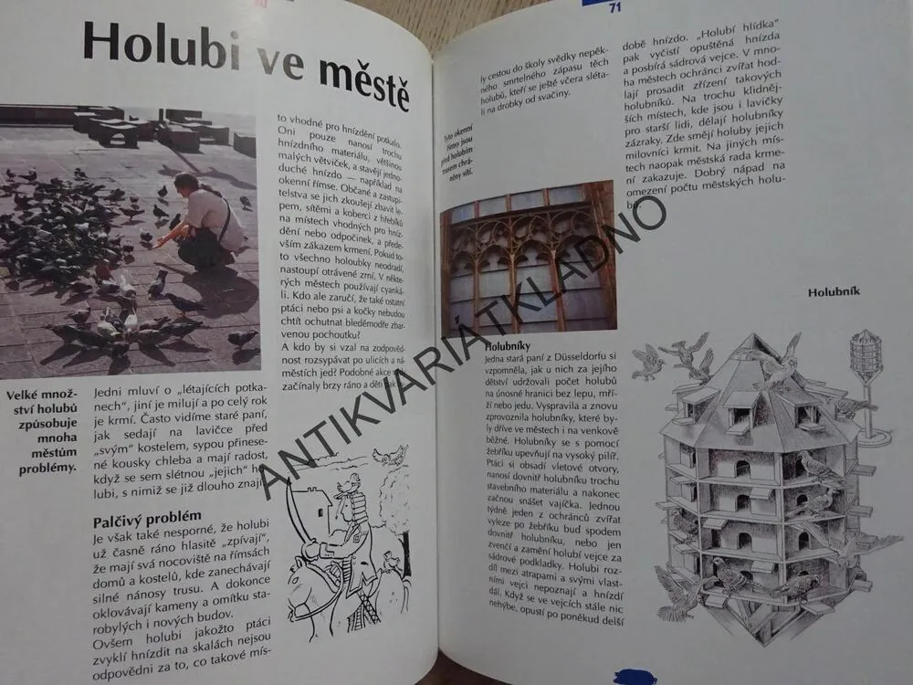 LÁSKA KE ZVÍŘATŮM, ANNELIESE ZUM KOLKOVÁ, **an