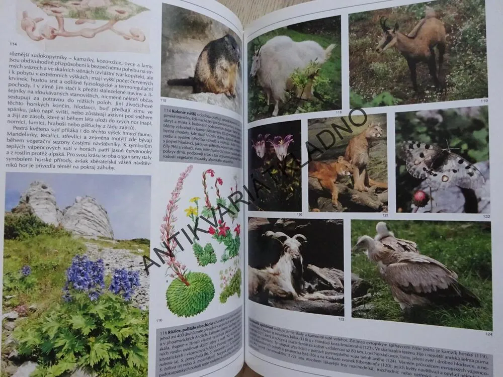 SVĚT HOR, ŽIVOT V PŘÍRODĚ, PAVEL PROCHÁZKA, JAN ŠTURSA, **an
