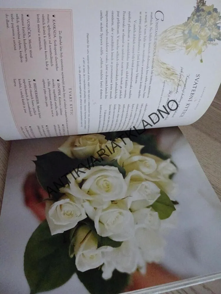 SLAVNÉ NEVĚSTY, LETITIA BALDRIGEOVÁ, **an