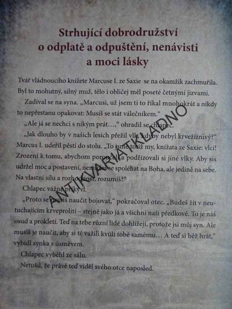 DÍTĚ, KTERÉ NAŠLO V NOCI SLUNCE, LUCA DI FULVIO, **an