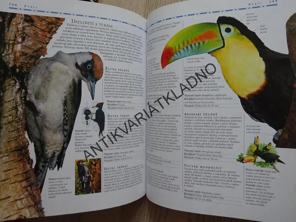 VELKÁ OBRAZOVÁ ENCYKLOPEDIE - ZVÍŘATA A OSTATNÍ ŽIVOČICHOVÉ, **an