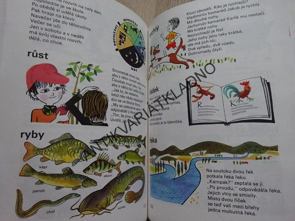 VELKÁ OBRÁZKOVÁ KNÍŽKA PRO MALÉ DĚTI, LUKEŠOVÁ, ŘÍHA,**an
