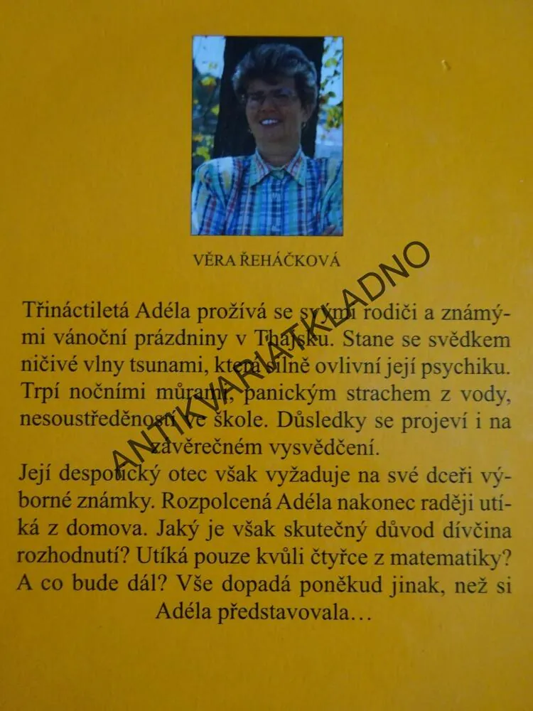 BEZHLAVĚ DO MALÉRU, VĚRA ŘEHÁČKOVÁ, **an