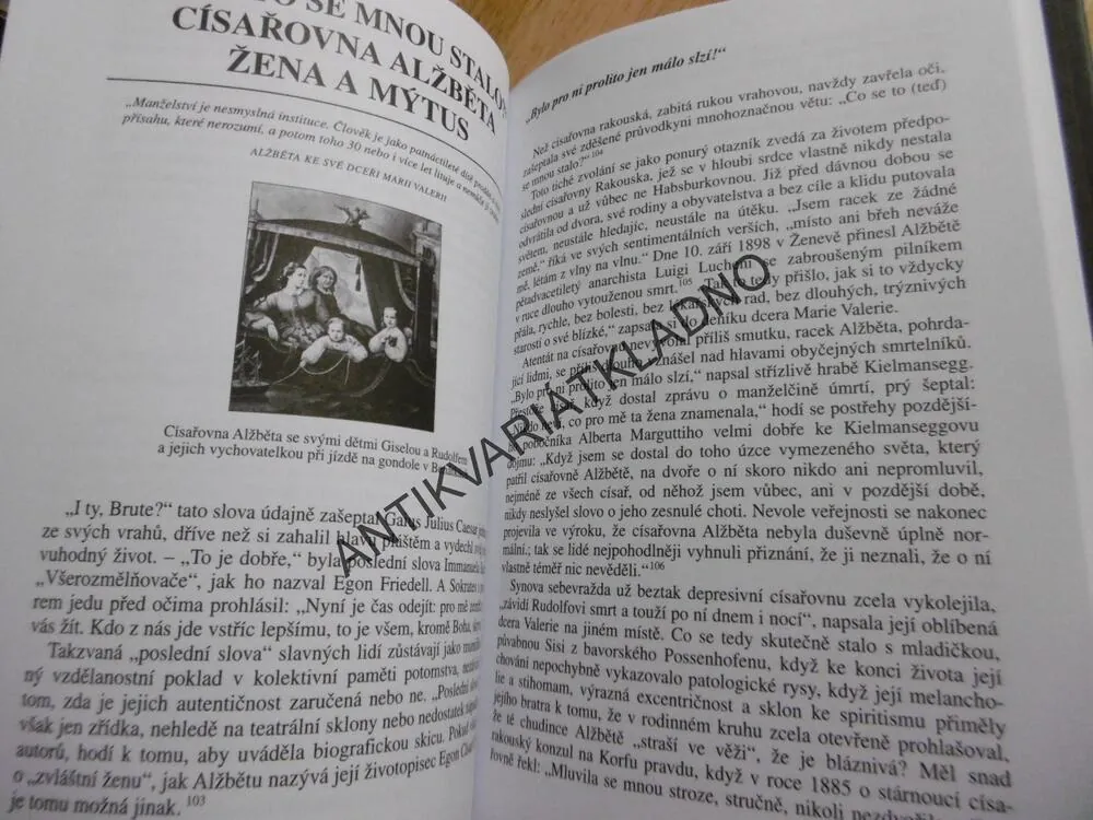 ČERNÉ OVCE MEZI HABSBURKY, VYVRŽENCI, PROSTOPÁŠNÍCI SLAVNÉHO RODU,DICKINGER