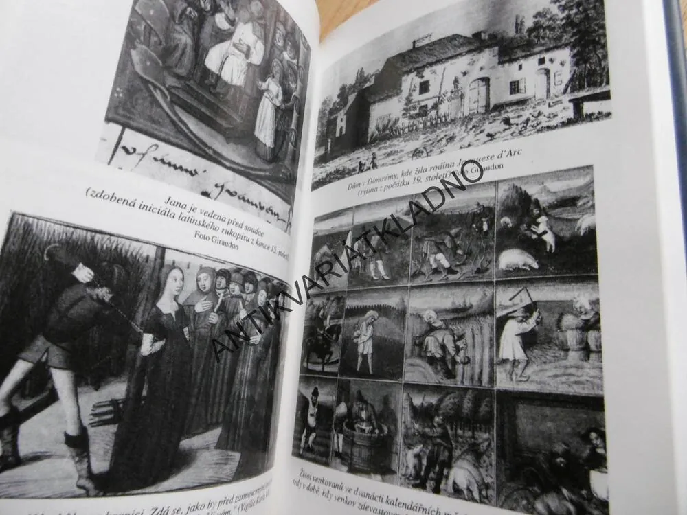 JANA Z ARKU, MOC A NEVINNOST, PIERRE MOINOT, **an