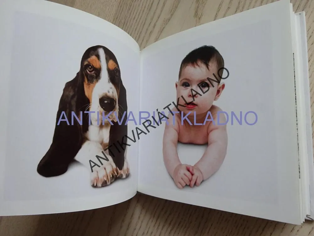 DOBŘÍ PRÁTELÉ, VICKY CEELENOVÁ, **an