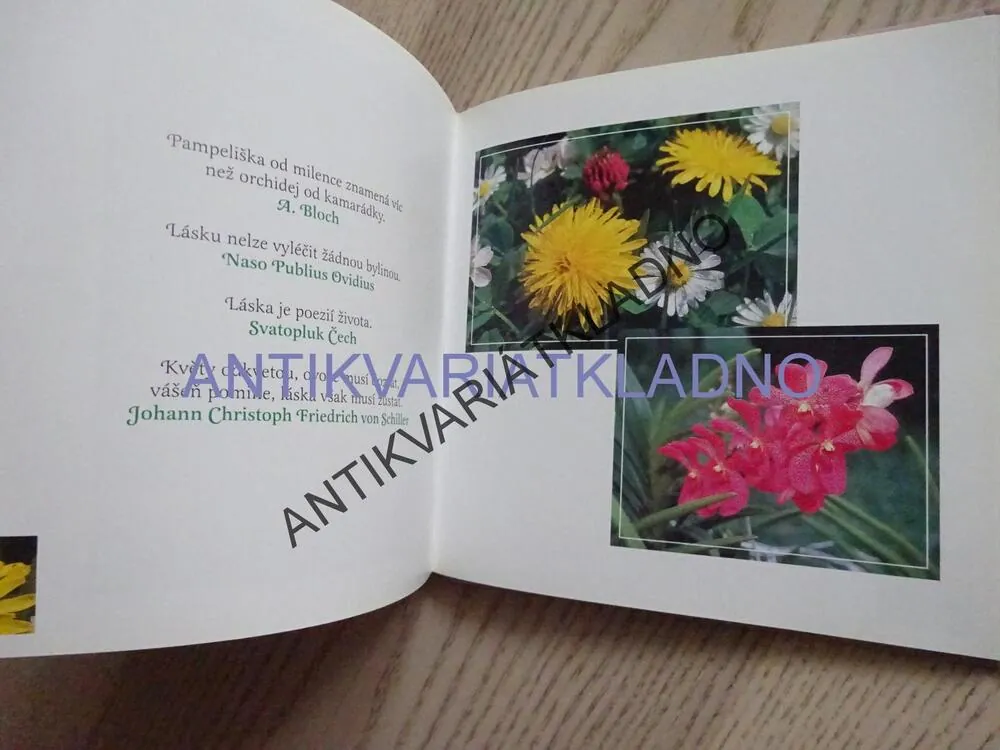 LÁSKA, ART FOTO LUBI POŘÍZKA, **an