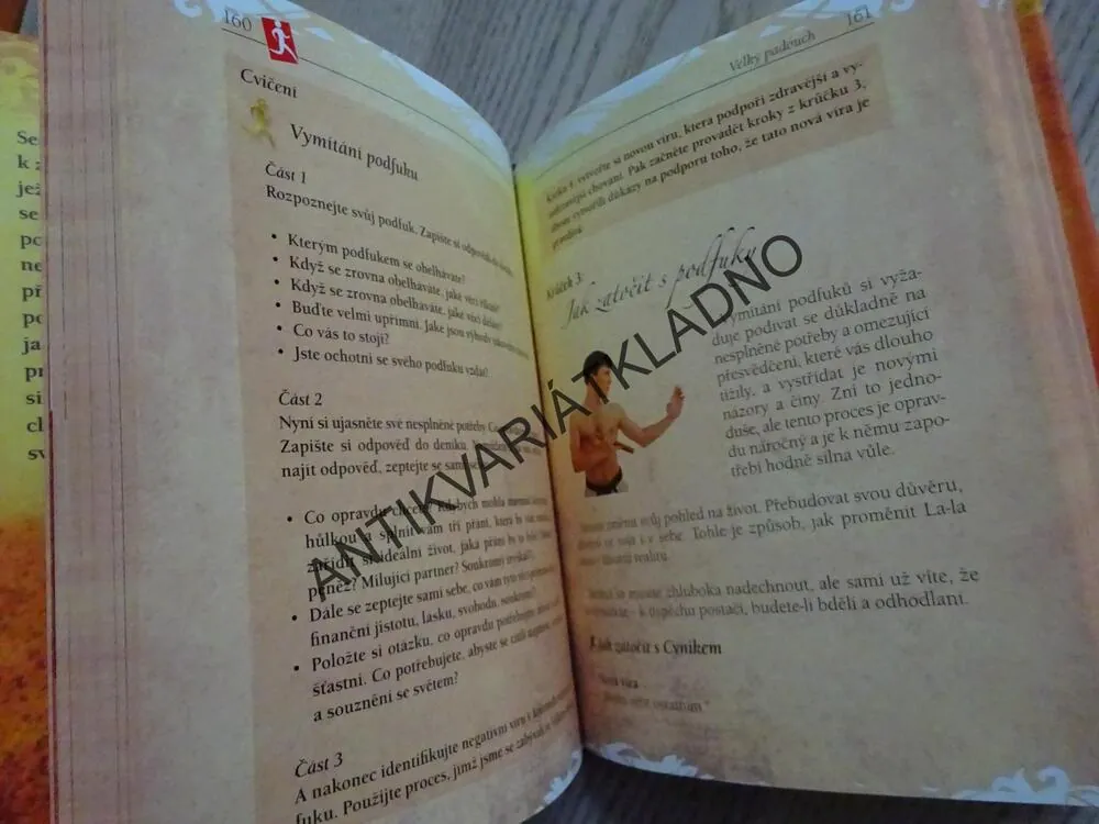 VELKÝ SKOK, SUZY GREAVES, **an
