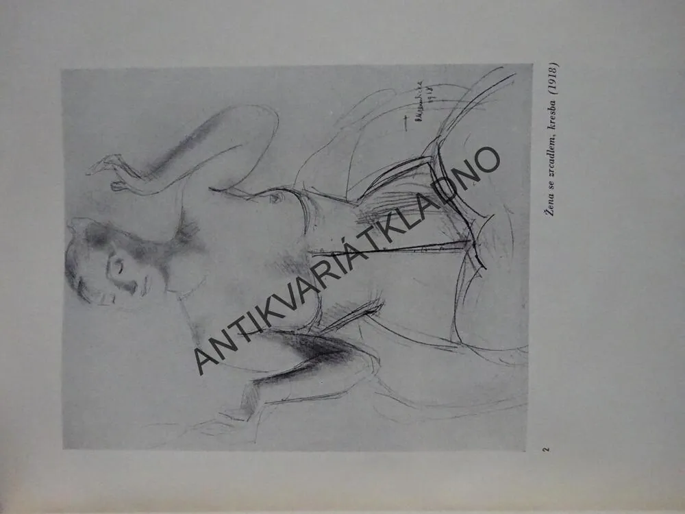 SOUBOR UMĚNÍ - REMBRANDT, MÁNES, ZRZAVÝ, GOYA, MICHELANGELO, MATISSE A DALŠÍ (CELKEM 12 KNIH) **an