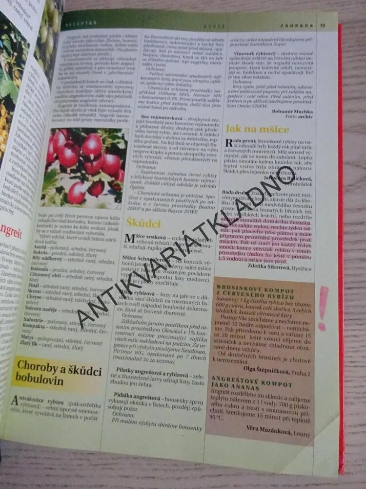 RECEPTÁŘ NA KAŽDÝ DEN, **an