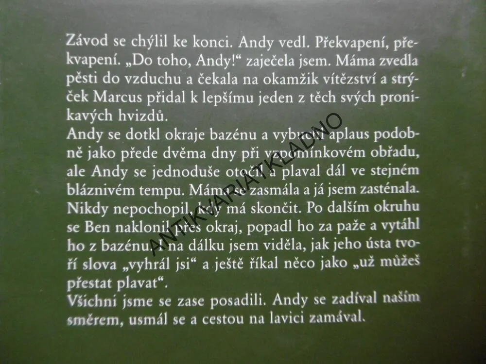 PŘED BOUŘÍ, DIANE CHAMBERLAINOVÁ, **an