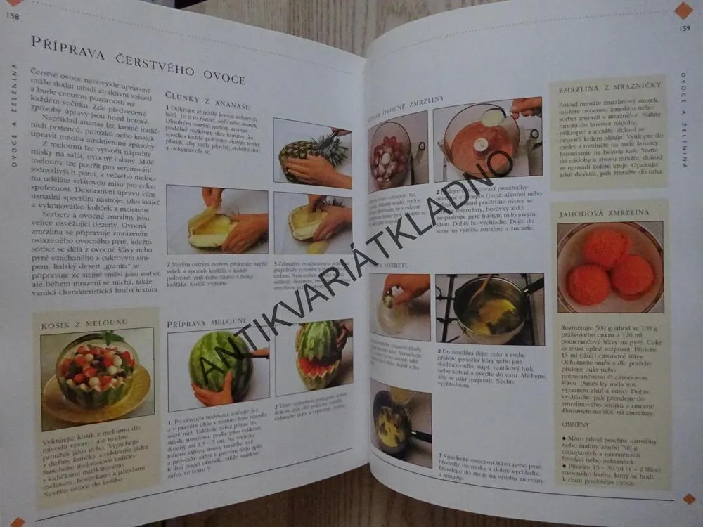ILUSTROVANÝ DOMÁCÍ RÁDCE, **an
