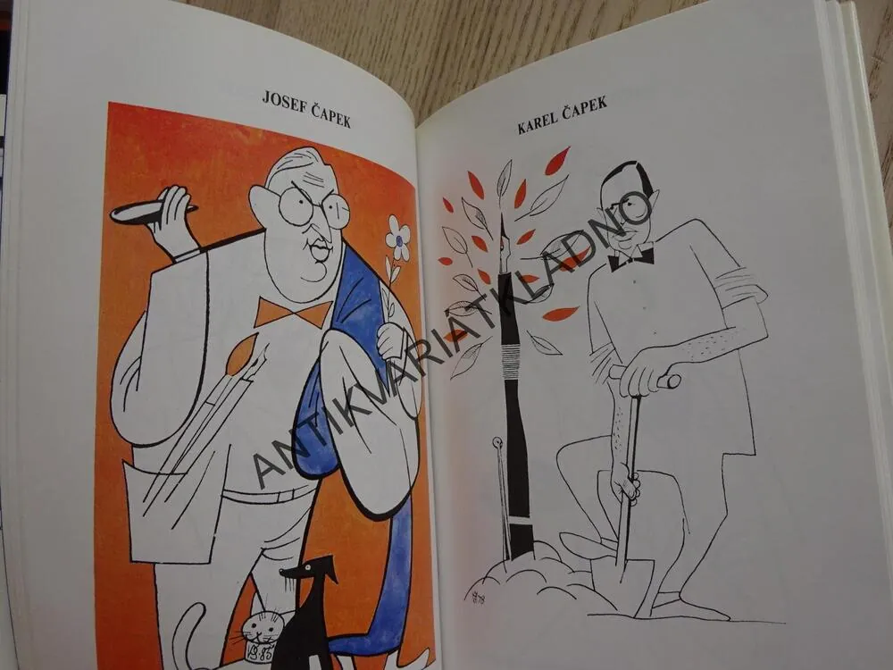 JAK JSEM JE VIDĚL, KAREL ŠMÍD, **an