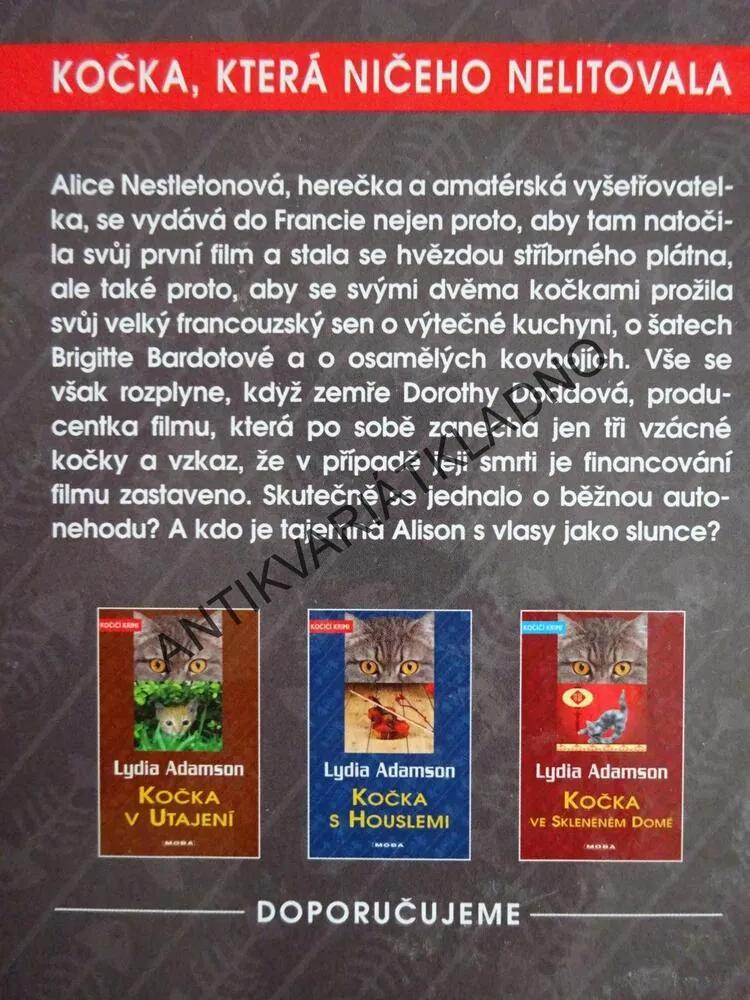 KOČKA, KTERÁ NIČEHO NELITOVALA, LYDIA ADAMSON, **an