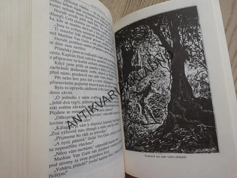 ZEMÍ ŠELEM, FRANZ KAFKA, **an