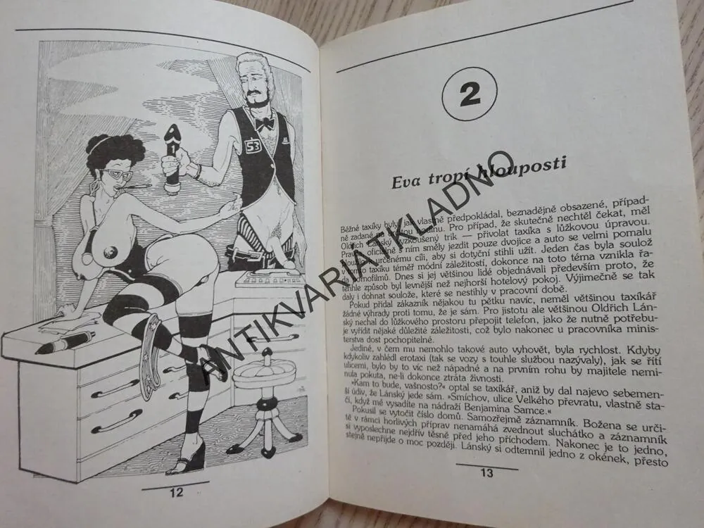KNIHOVNIČKA NEI REPORTU, DIKTATURA SEXU, EDICE VENUŠE, **an