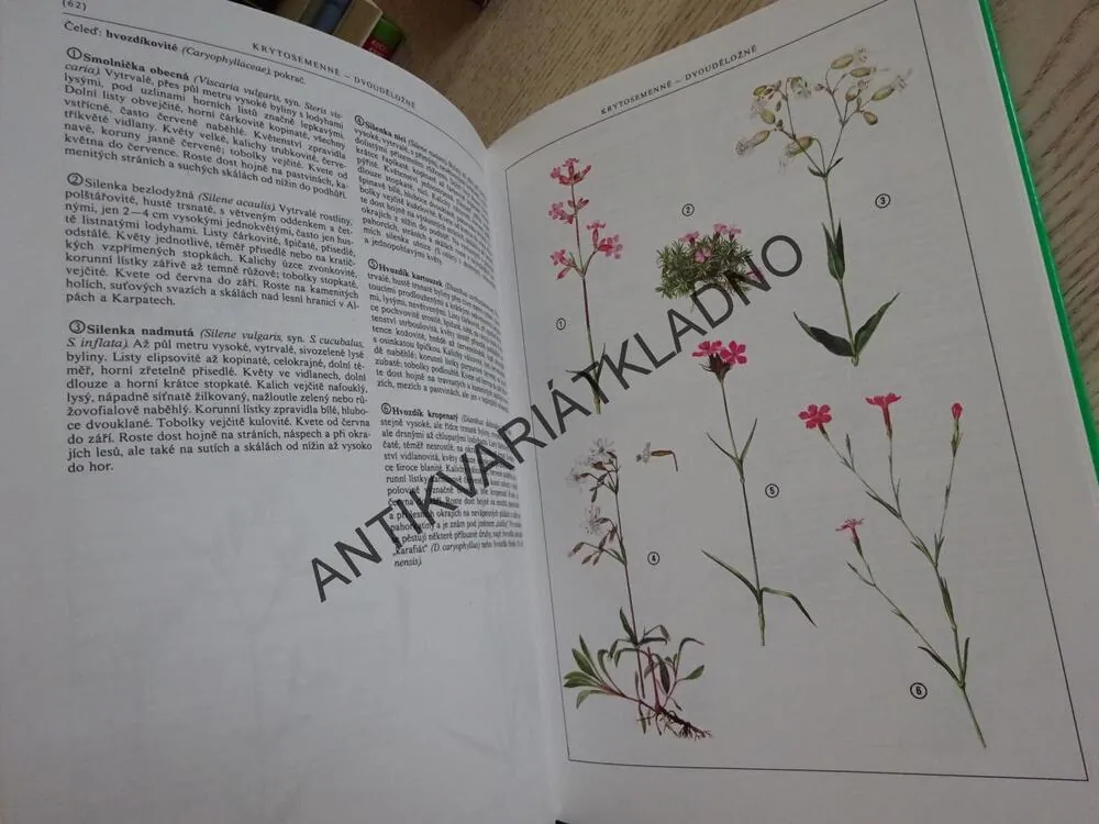 NAŠÍ PŘÍRODOU KROK ZA KROKEM, TOMAN, HÍSEK, **an