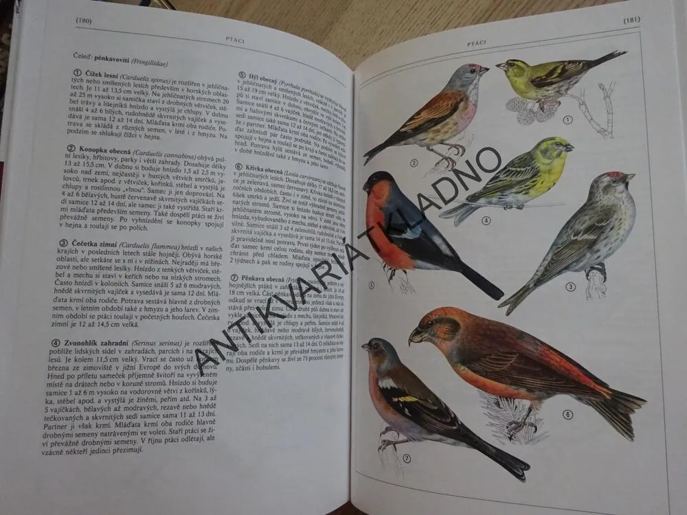 NAŠÍ PŘÍRODOU KROK ZA KROKEM, FELIX, HÍSEK, **an