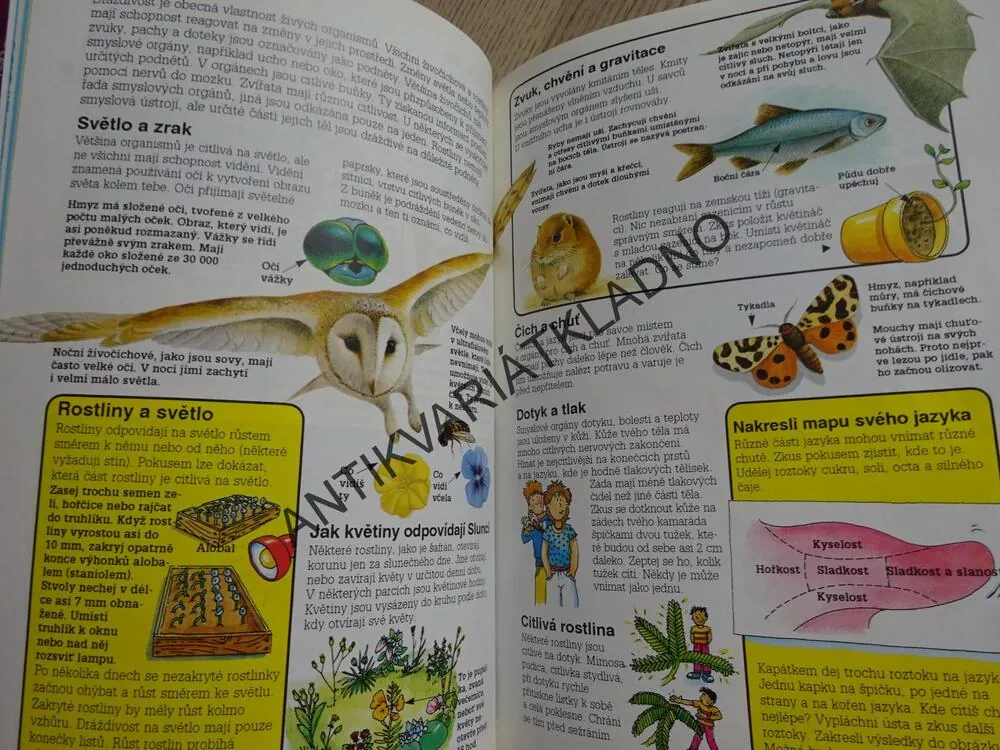 BIOLOGIE 