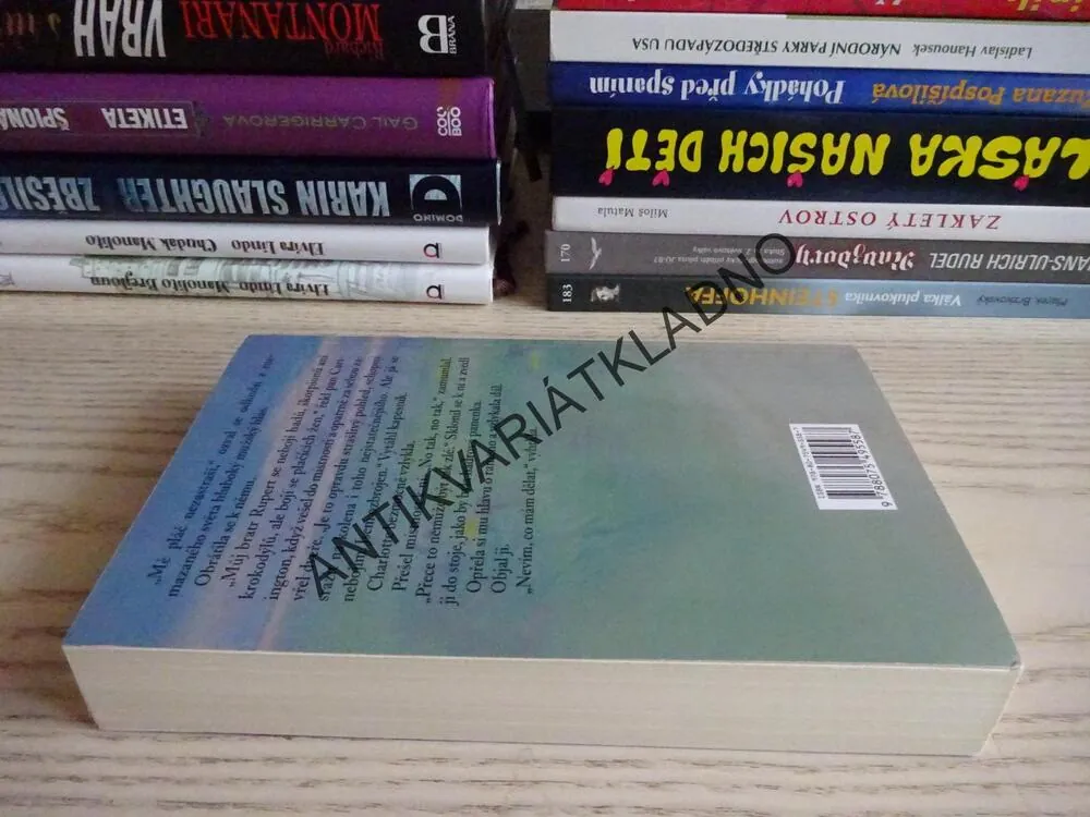 TAK SE DÁMA NECHOVÁ, LORETTA CHASEOVÁ, **an